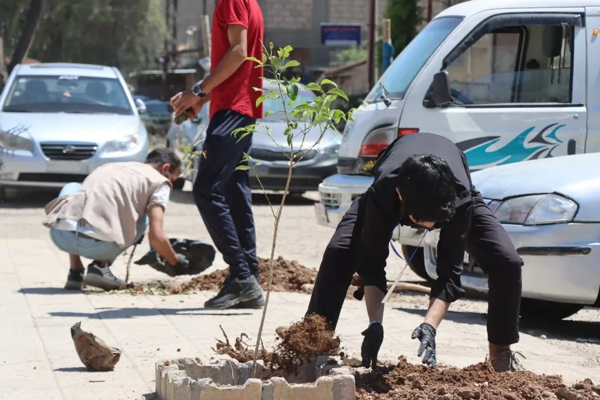  زراعة 650 شجرة في قامشلو