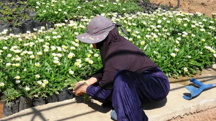 تكريم عاملات بمناسبة عيد العمال العالمي في مقاطعة الرقة