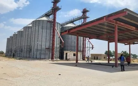 استعدادات في الرقة لاستقبال محصول القمح من المزارعين وسط تحديات الجفاف