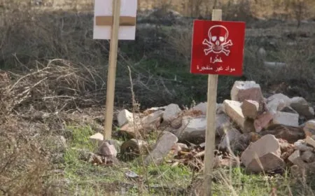13 قتيلاً في سوريا خلال يوم 