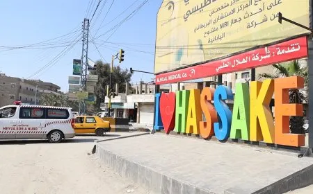 بلدية الحسكة تستعد لإطلاق حملة رش مبيدات حشرية وتدعو الأهالي للتعاون