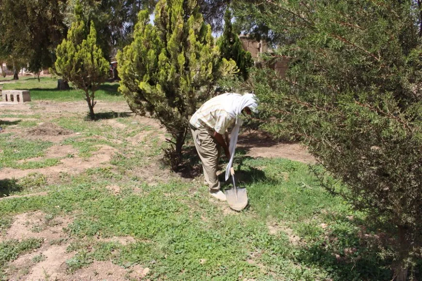 الحاج جمعة.. يزرع الجمال في حدائق تل براك