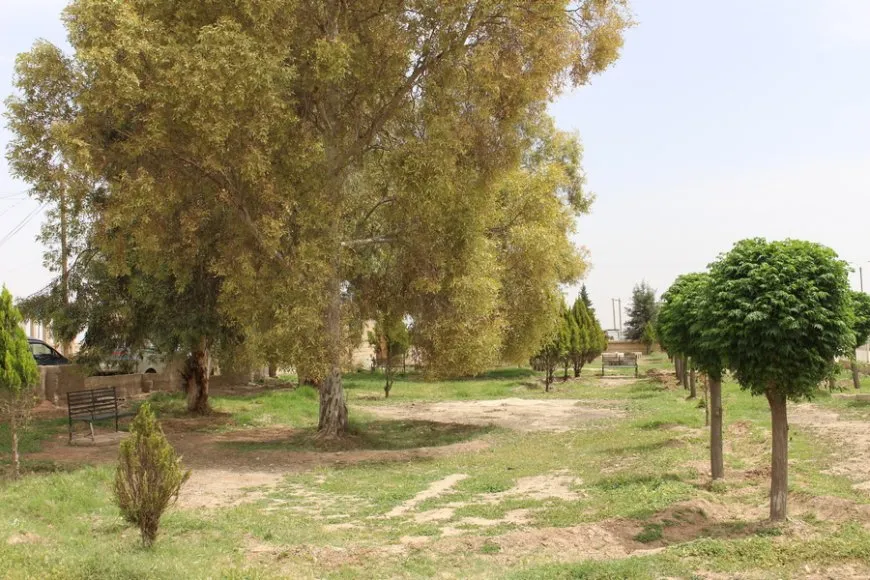 الحاج جمعة.. يزرع الجمال في حدائق تل براك