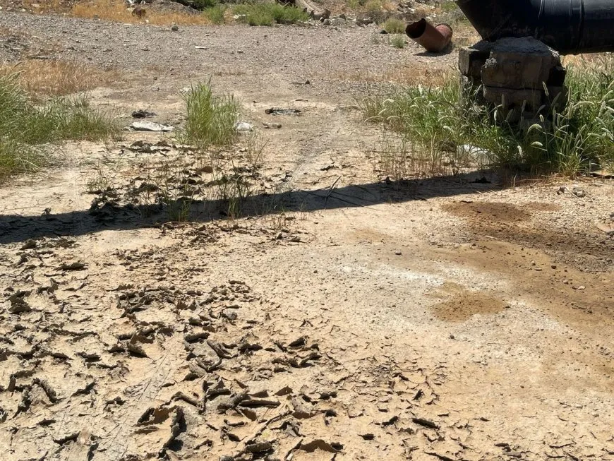 تركيا والجفاف يتقاسمان الإضرار بمزارعي شمال وشرق سوريا