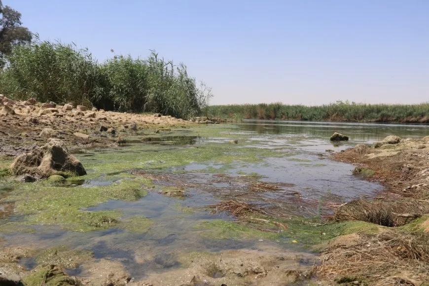 تركيا والجفاف يتقاسمان الإضرار بمزارعي شمال وشرق سوريا