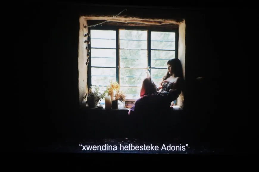 مهرجان نوجيان لأفلام المرأة يستمر في يومه الأخير
