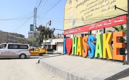بلدية الحسكة تستعد لإطلاق حملة رش مبيدات حشرية وتدعو الأهالي للتعاون