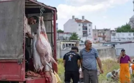 إصابة أكثر من 14 ألف شخص في حوادث ذبح الأضاحي في تركيا 