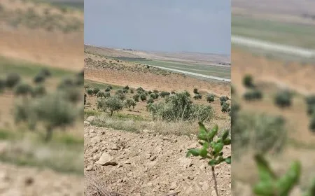 جنود الاحتلال التركي يستهدفون مزارعين في قرية بريف كوباني