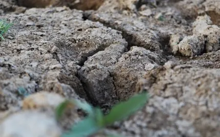 من نهر زاخر بالحياة إلى مجرى جاف