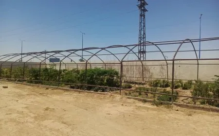 هيئة البيئة بدير الزور: انطلاقة متأخرة وخطط طموحة لمواجهة تحديات
