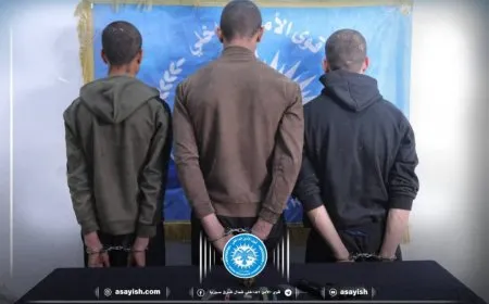 قوى الأمن تلقي القبض على سارقين ومروجين للمخدرات