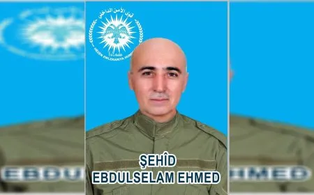 قوى الأمن الداخلي تكشف سجلّ أحد أعضائها