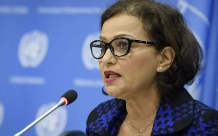 مسؤولة أممية تطالب بضمانات تشريعية لعدم تكرار التعذيب في سوريا