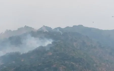 HPG: الاحتلال التركي يكثف هجماته بالأسلحة المحظورة ضد قواتنا