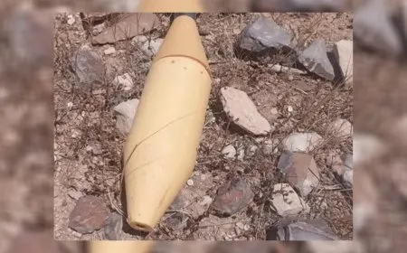 الجيش الأردني يحبط تهريب مواد مخدرة من سوريا