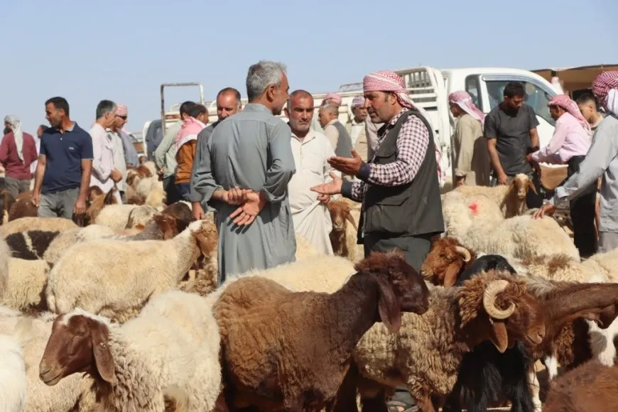 عيد الأضحى في شمال وشرق سوريا.. استعدادات وطقوس راسخة رغم التحديات الاقتصادية
