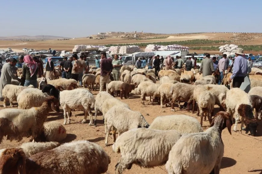 عيد الأضحى في شمال وشرق سوريا.. استعدادات وطقوس راسخة رغم التحديات الاقتصادية