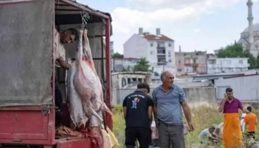 إصابة أكثر من 14 ألف شخص في حوادث ذبح الأضاحي في تركيا 
