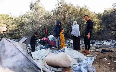 خبراء بيئيون يحذرون من خطر استمرار النزاعات المسلحة على البيئة