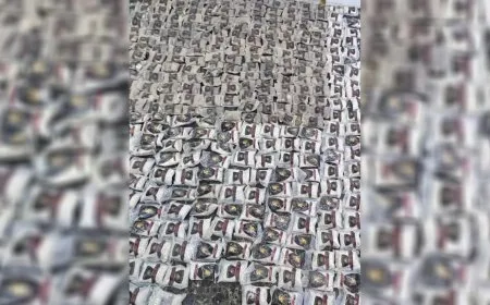 الجيش الأردني يحبط محاولة تهريب مخدرات قادمة من سوريا