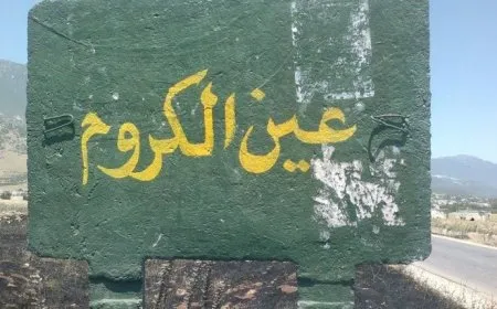 العثور على جثتي زوجين مقتولين بريف حماه