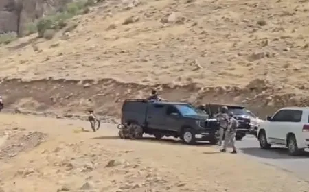 الشخصيات والتنظيمات السياسية والمجتمعية تصل موقع إجراءات تلبية نداء القائد عبد الله أوجلان