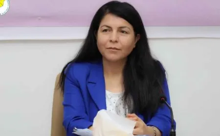 الرئيسة المشتركة لمسد تدعو لإنهاء العنف في السويداء: الحوار السوري مفتاح بناء البلاد