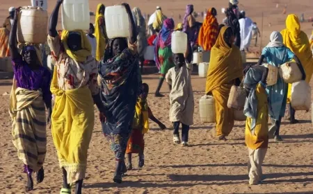 17 نازحاً يفقدون حياتهم من شدة العطش في صحراء السودان