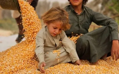 موجة جفاف ونقص تمويل يهددان اليمن بكارثة إنسانية