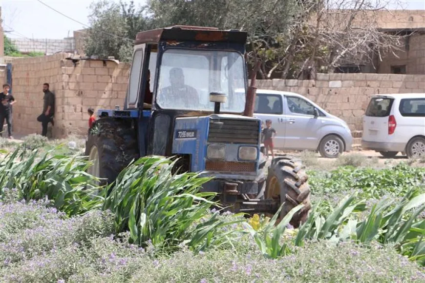 إتلاف محاصيل خضار تُروى بمياه الصرف الصحي في الحسكة بعد فشل التحذيرات