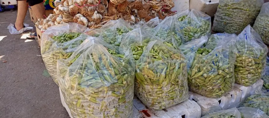 جولة صباحية في أسواق مدينة الرقة