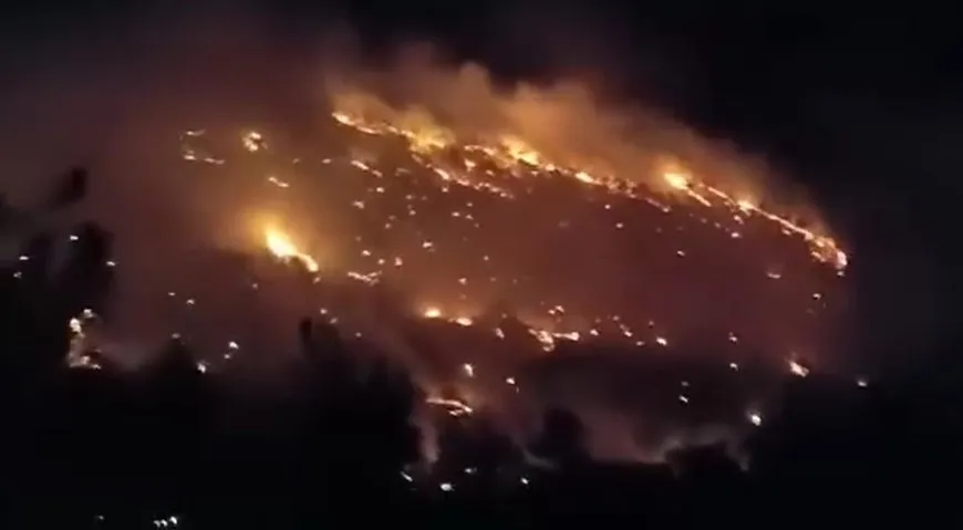 اندلاع حرائق في ريفي حماة وعفرين المحتلة
