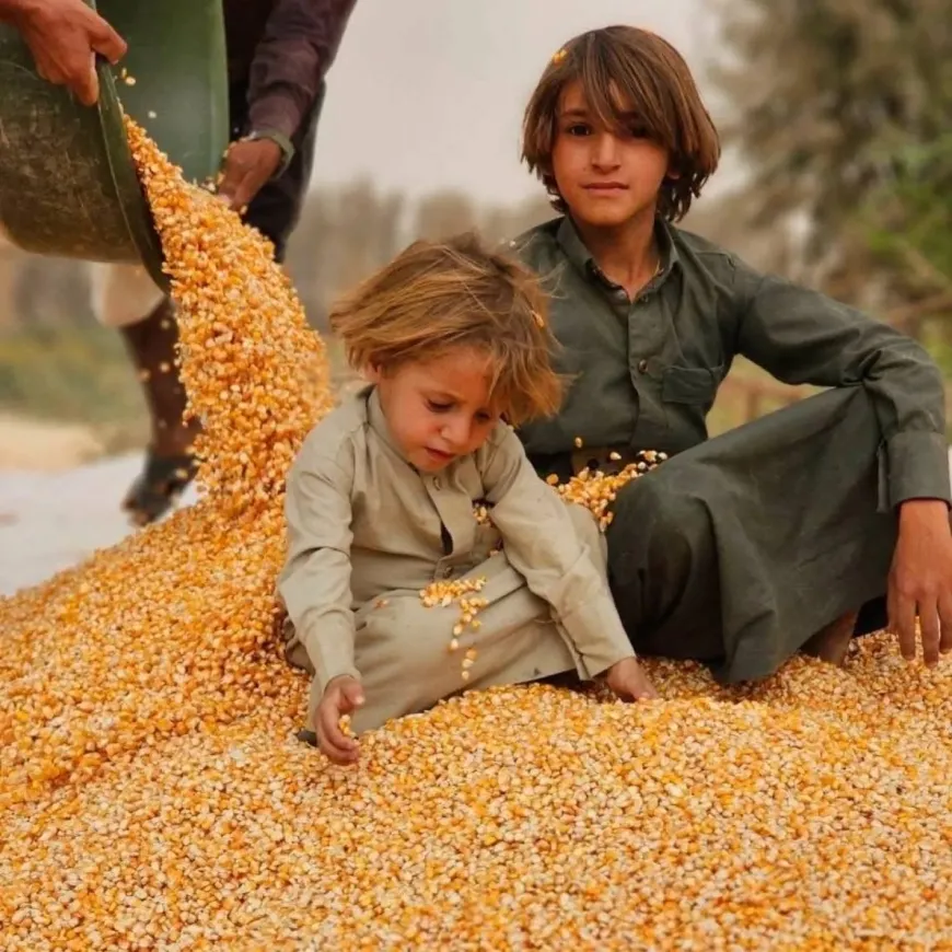 موجة جفاف ونقص تمويل يهددان اليمن بكارثة إنسانية