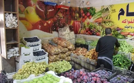 الزراعة في شمال وشرق سوريا بين الجفاف ووفرة الإنتاج 