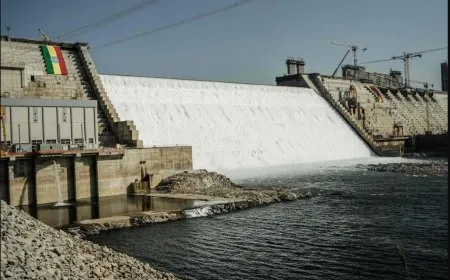 الرئيس المصري: ملف المياه جزء من حملة الضغوط على مصر لتحقيق أهداف أخرى