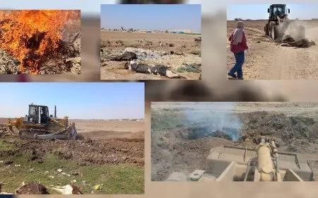 بلدية قامشلو تتخلص من جثث حيوانات نافقة بسبب الحمى القلاعية