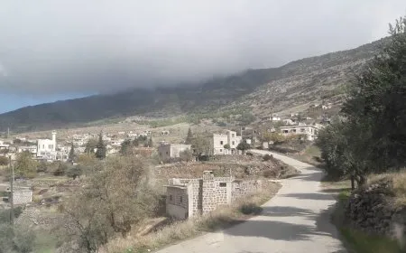 مرتزقة الاحتلال التركي يمنعون جني محصول الزيتون في عفرين