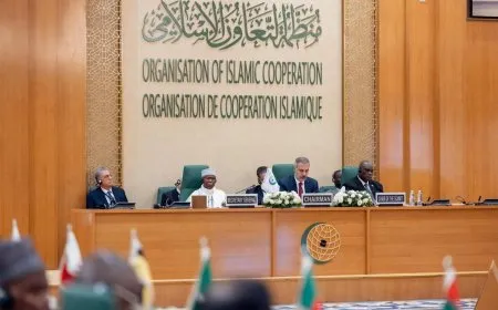 منظمة التعاون الإسلامي تدعو لوقف الحرب على غزة