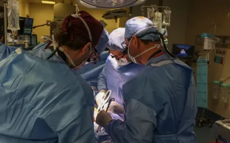 علماء صينيون ينجحون في تجربة رائدة لزراعة رئة خنزير بجسد بشري