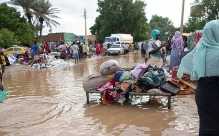 فيضانات تودي بحياة العشرات في الهند والسودان