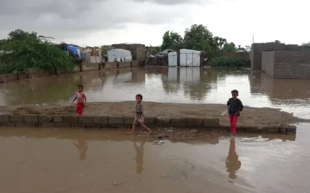 1200 عائلة بلا مأوى جراء السيول غرب اليمن
