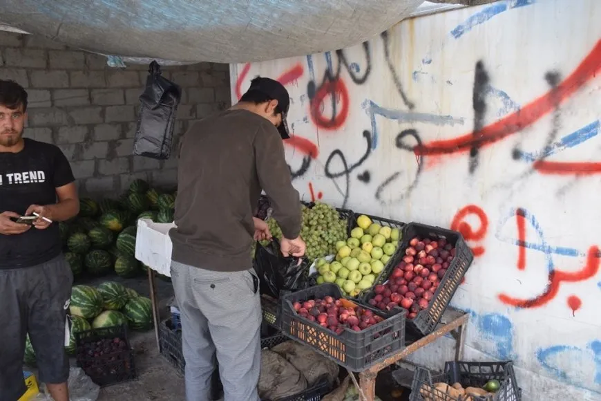 الزراعة في شمال وشرق سوريا بين الجفاف ووفرة الإنتاج 