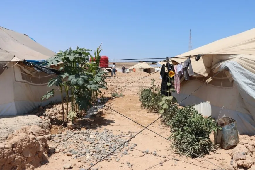 مهجّرو عفرين في الطبقة يحوّلون محيط خيامهم إلى مساحات خضراء 