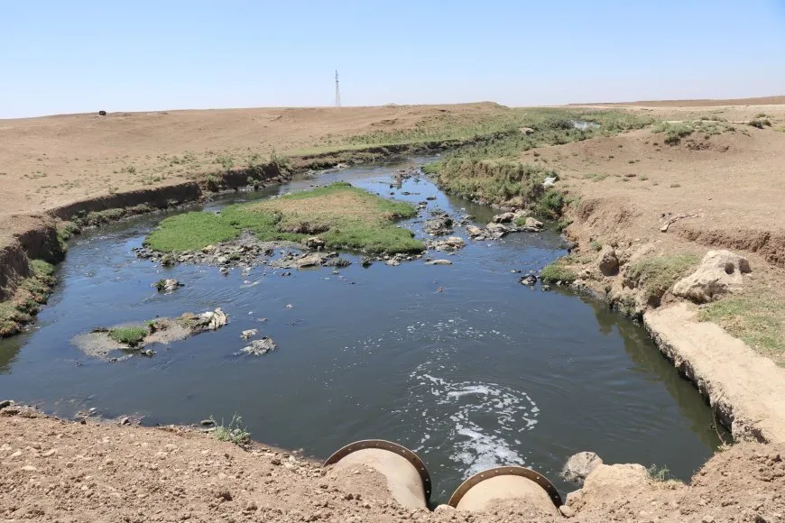 خطر صحي وبيئي يهدد موائد السكان في قامشلو