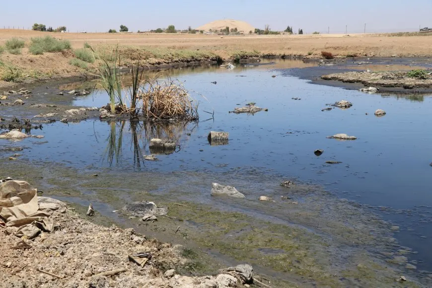 خطر صحي وبيئي يهدد موائد السكان في قامشلو