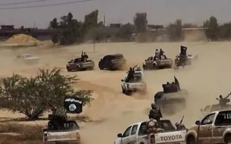 تزايد هجمات داعش غرب النيجر يسفر عن مقتل 127 شخصاً