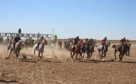 60 فارساً يشاركون في المهرجان الثاني للخيول العربية الأصيلة
