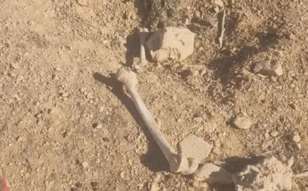 العثور على بقايا رفات شخص بريف حمص