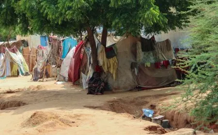 بعثة تقصي الحقائق في السودان تدين استهداف المصلين في دارفور